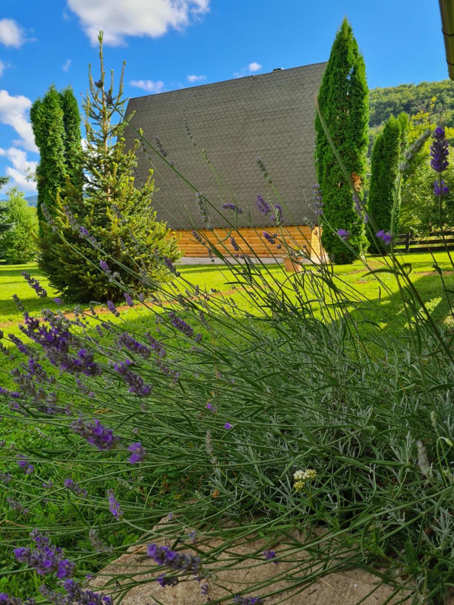 Chalet Velebitska Kuca Velika Plana Exterior photo